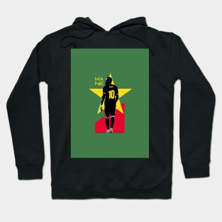 Mane Hoodie